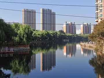 学习粤语的综艺,学粤语的综艺节目